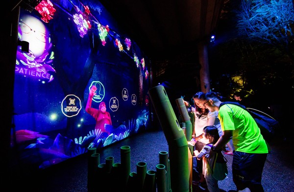 ▲新加坡夜間動物園。（圖／新加坡旅遊局提供）