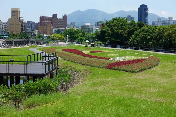 ▲北投關渡碼頭花海觀賞期至月底。（圖／臺北市政府工務局水利工程處）