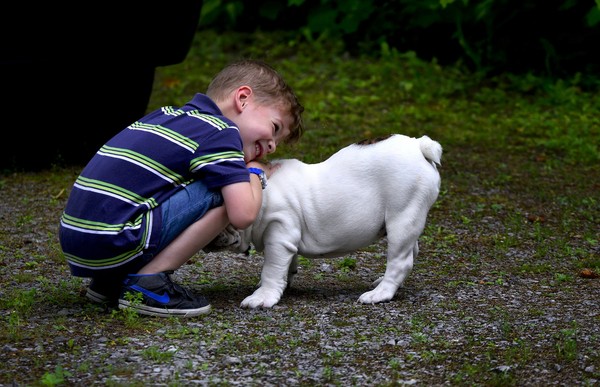 小孩與狗。（圖／取自免費圖庫Pixabay）