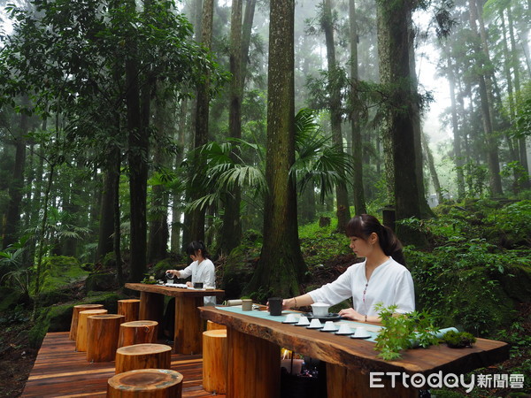 ▲▼ 「2019寶島仲夏節Formosa Summer Festival」夏季森林茶會將有機會喝大阿里山好茶，品嘗當地特色餐。（圖／記者翁伊森翻攝，下同）。