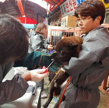▲▼南韓最大「狗肉市場」歇業。（圖／翻攝自동물자유연대twitter）