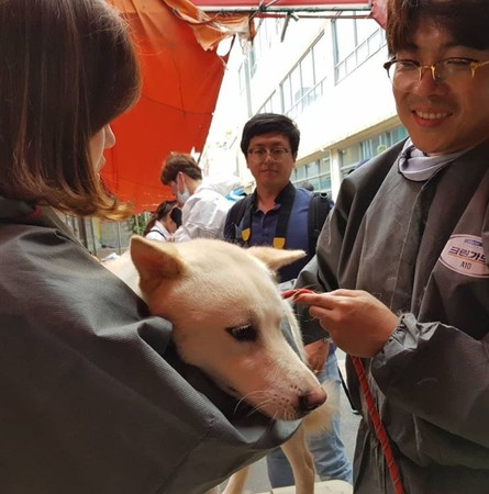 ▲▼南韓最大「狗肉市場」歇業。（圖／翻攝自동물자유연대twitter）