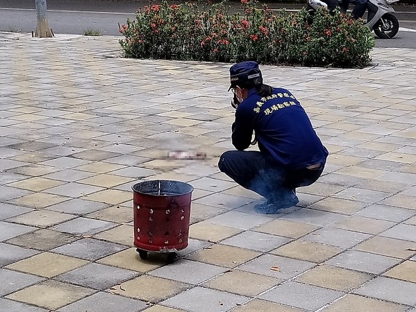 ▲小貓倒嘉義公園旁「四肢、雙耳都不見」　獸醫初步判斷是人為。（圖／嘉義市動物守護協會提供）