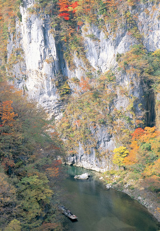 ▲日本東北▼             。（圖／七逗旅遊網提供）