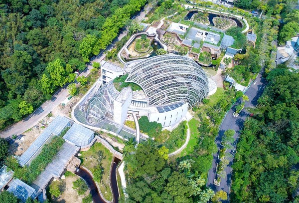 ▲「巨型穿山甲」匍匐台北動物園　原來是熱帶雨林動物新家。（圖／台北市立動物園提供）