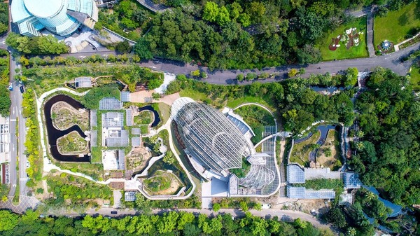 ▲「巨型穿山甲」匍匐台北動物園　原來是熱帶雨林動物新家。（圖／台北市立動物園提供）