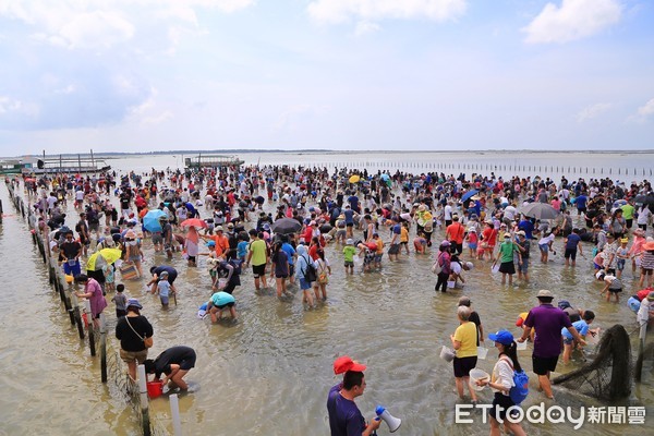 ▲2019台南七股海鮮節之觀光赤嘴園挖文蛤體驗活動，7月13日在七股六孔碼頭盛大開幕。（圖／記者林悅翻攝，下同）