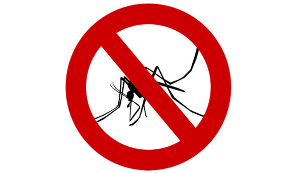 容易被蚊子「叮」上？　此血型的人要盡量減少3種氣味