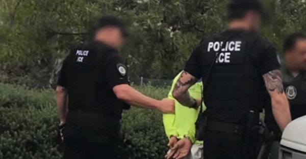 ▲▼ICE人員逮捕聖地牙哥犯罪移民（圖／取自ICE官方網站）