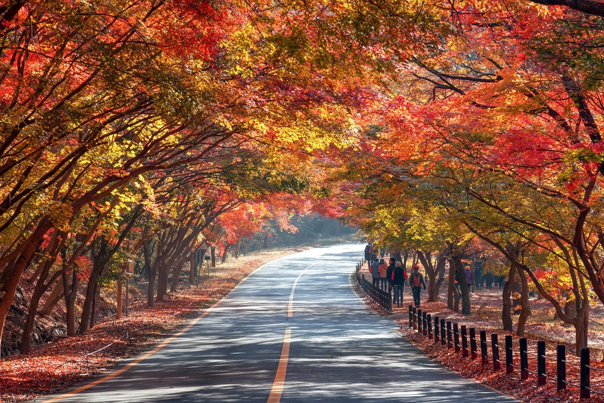 漫天紅葉即將來襲 秋季日韓賞楓名勝懶人包 Ettoday旅遊雲 Ettoday新聞雲 漫天紅葉即將來襲 秋季日韓賞楓名勝懶人包 Ettoday旅遊雲 Ettoday新聞雲