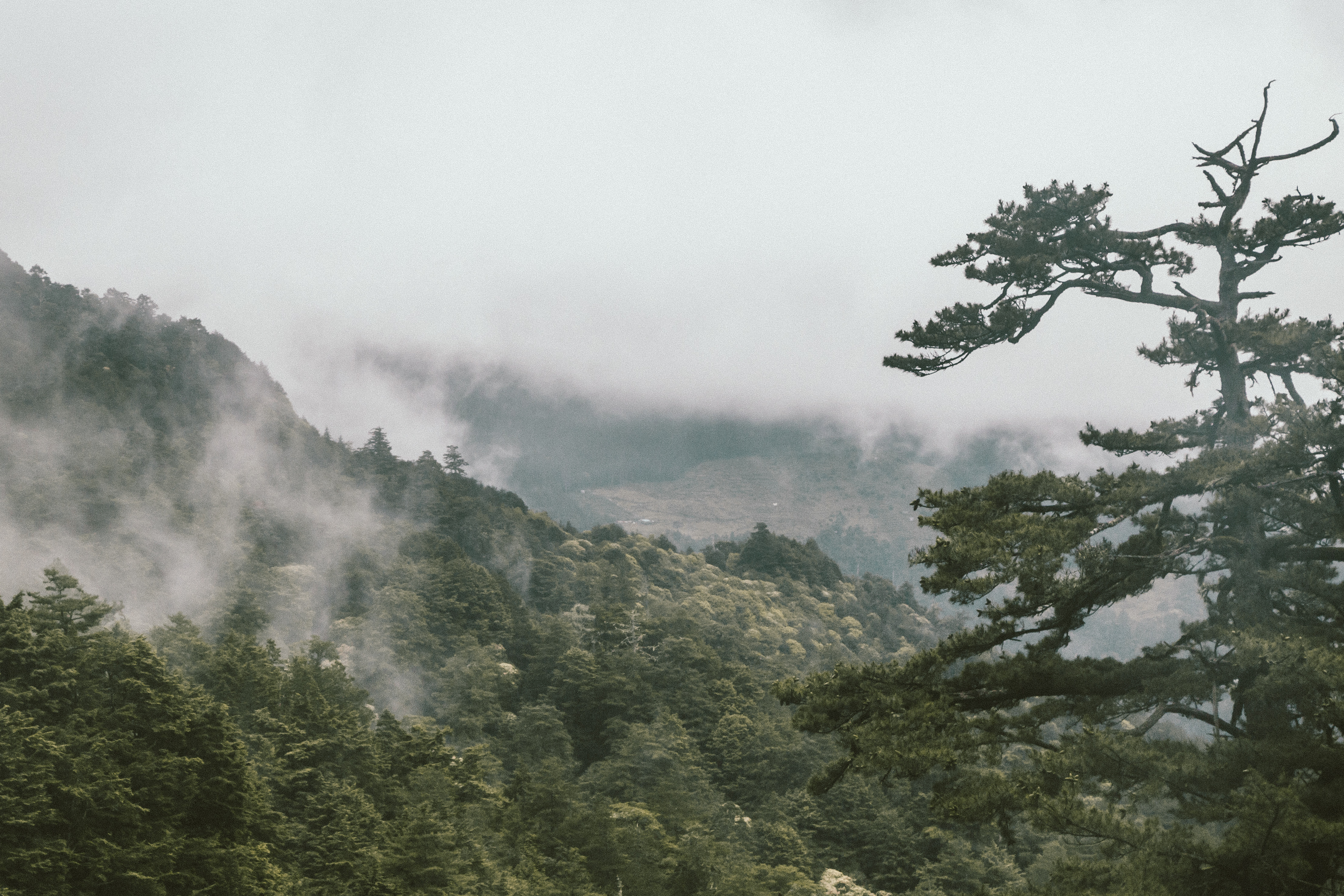 ▲▼畢祿山登山照。（圖／Ｎ²提供，請勿隨意翻拍，以免侵權。）