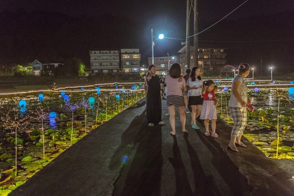 ▲雙溪上林荷花田。（圖／新北市政府綠美化環境景觀處提供）