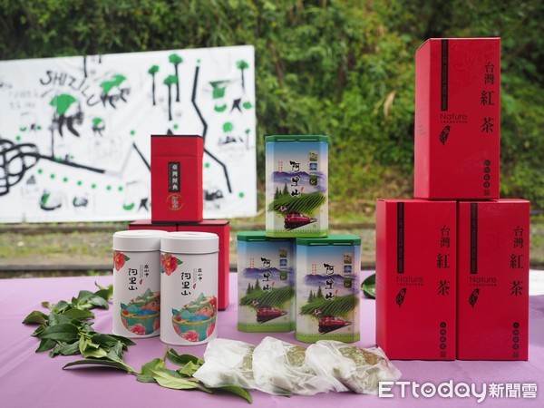 ▲▼ 阿里山四季茶旅茶會，以當地四季特色茶結合大阿里山消暑熱點，吸引民眾上山體驗。（圖／阿里山管理處提供）