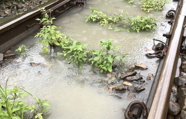 ▲▼台鐵內灣支線水淹軌面。（圖／台鐵提供）