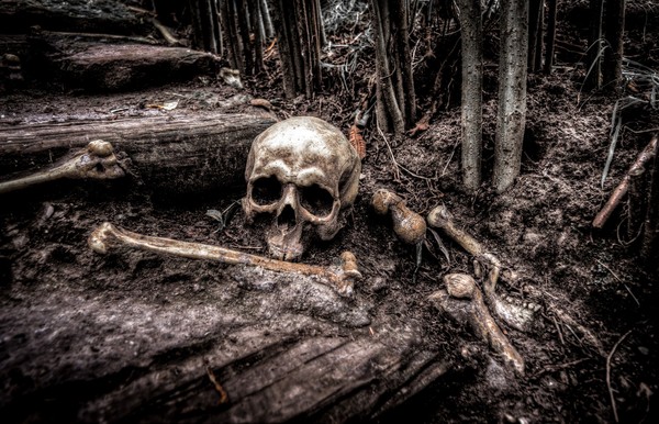▲▼人骨,骷顱頭,謀殺,棄屍,活人祭祀。（圖／取自免費圖庫pixabay）