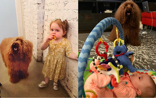 ▲▼凌晨聽到哭鬧聲！保母汪進房「聞手關心」　寶寶笑了倒頭又睡。（圖／翻攝自Instagram:prince_in_the_city）