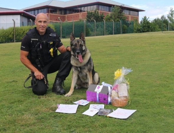 ▲▼警犬出任務「被利刀捅頭」　襲警嫌犯依《芬恩法》開罰（圖／翻攝自Twitter@StaffsPolice）