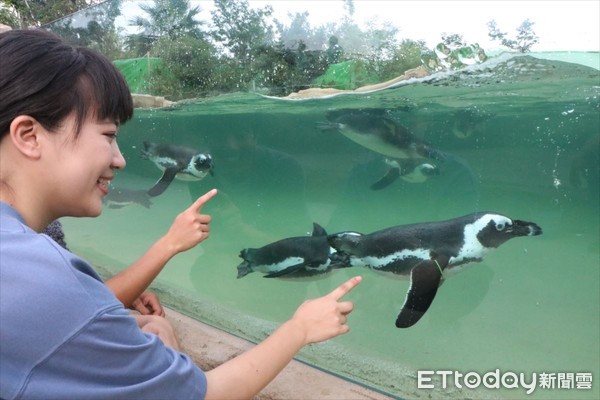 ▲▼神戶動物王國水之谷。（圖／神戶市台灣推廣事務所提供）