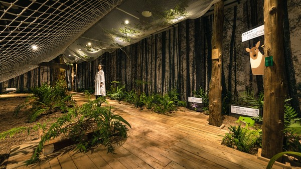 ▲▼ 文化總會在夏季推出今年第2檔特展「森．體．感」，打造城市中的秘密森林！（圖／文化總會提供）
