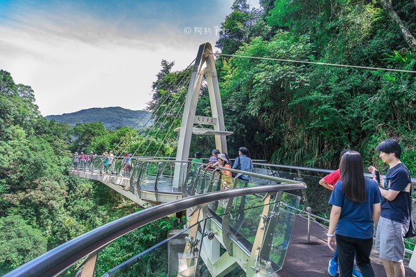 ▲小烏來風景區天空步道和宇內溪戲水區。（圖／阿新愛玩樂提供）