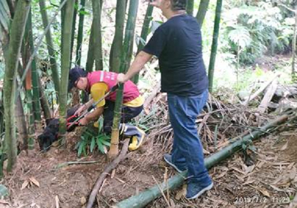 設山豬吊傷狗，繳完罰單還要上課。（圖／新北市動保處提供）