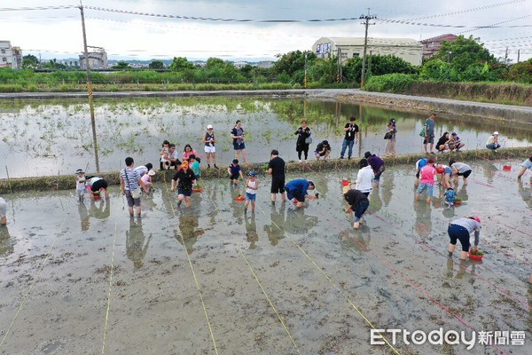 ▲2019台南好米好好玩食玩體驗系列第二場「就愛吃台南越光米之稻陣來種田體驗活動」，由弘昌穀糧生產合作社接棒舉辦。（圖／記者林悅翻攝，下同）