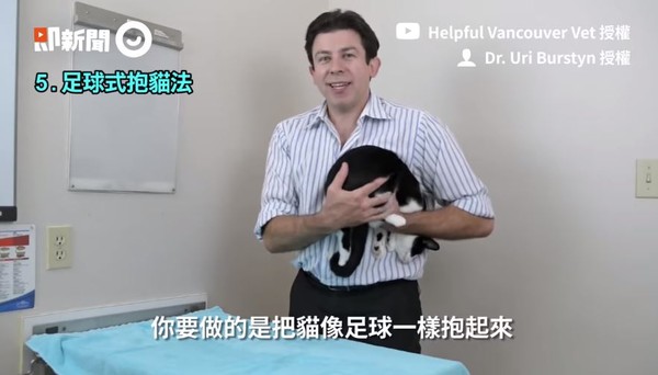 ▲獸醫師親自示範抱貓安全姿勢。（圖／Youtube　Helpful Vancouver Vet；Dr. Burstyn授權提供）