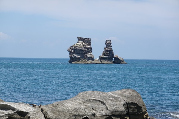 ▲金山清水農地牡丹蓮花海。（圖／新北市政府綠美化環境景觀處提供）