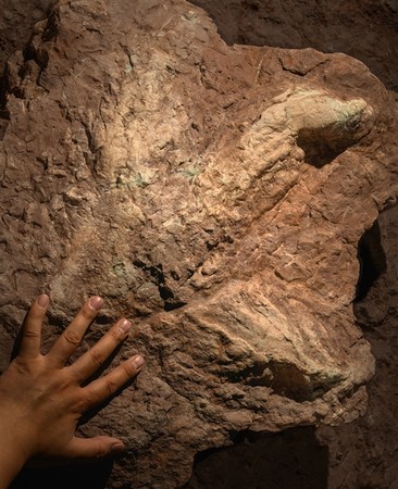 ▲江西贛州發現暴龍腳印化石。（圖／翻攝自新浪科技，下同）