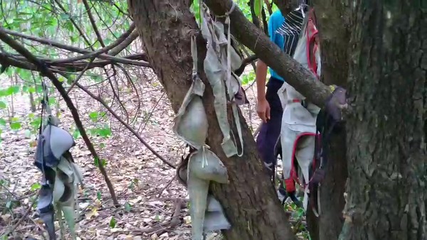 ▲泰國村莊的樹叢搜出220件戳洞內衣。（圖／翻攝自77jowo）