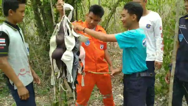 ▲泰國村莊的樹叢搜出220件戳洞內衣。（圖／翻攝自77jowo）
