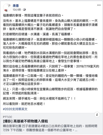 ▲▼作家發文談論高雄福壽螺產卵。（圖／翻攝自Facebook／唐墨）