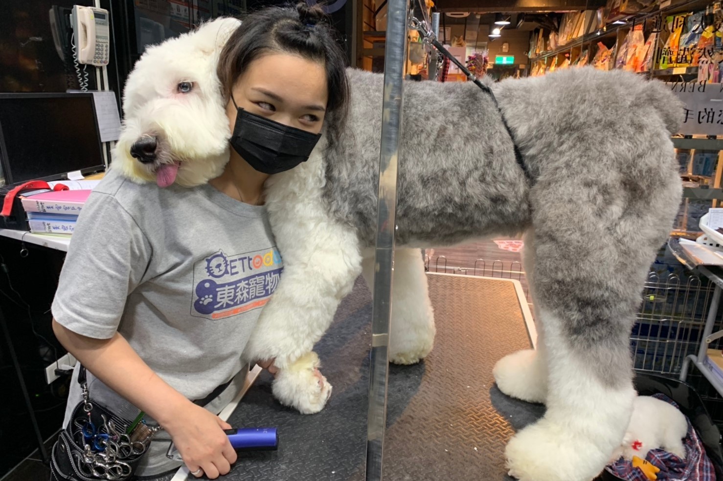 不喜歡被碰腳古代牧羊犬剪毛怕怕 甜靠美容師姐姐肩膀討拍 Ettoday寵物雲 Ettoday新聞雲
