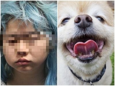 ▲華裔女子遭室友的寵物攝影機拍到強迫狗狗口交。（圖／翻攝自NYPD／PIXABAY）