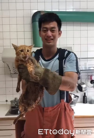 ▲小貓成功被救出。（圖／新北市消防局中山分隊提供。）
