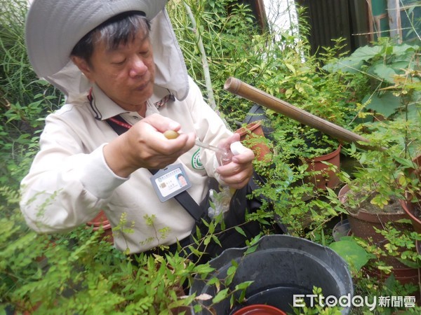 ▲台南市政府登革熱防治中心呼籲，為了保障家人及社區健康，請市民立即「腳到、眼到、手到」清理家園，全民動起來，一起防治登革熱。（圖／記者林悅翻攝，下同）