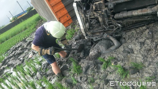 ▲馮姓男子駕駛貨櫃車，人車失控衝到水稻田翻覆，馮男受困成「泥人」，消防人員救他脫困，幸運地僅輕傷，送醫無礙。（圖／記者林悅翻攝，下同）