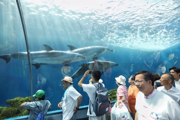 ▲桃園高鐵站區內日商投資水族館