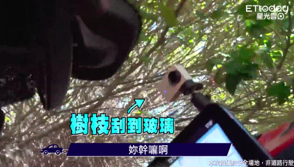 ▲▼「這群人」展榮、展瑞與木星。（圖／記者黃克翔攝）