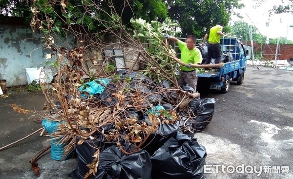 ▲利奇馬颱風過境，桃園市環保局10日總動員為全市清除落葉等垃圾。（圖／記者沈繼昌翻攝） 