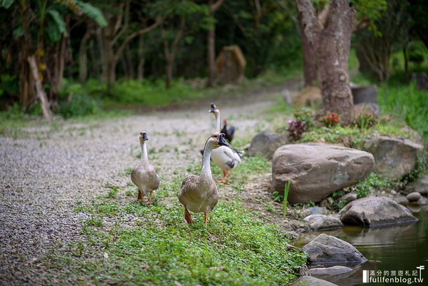 ▲豆麥私房菜。（圖／滿分的旅遊札記提供）