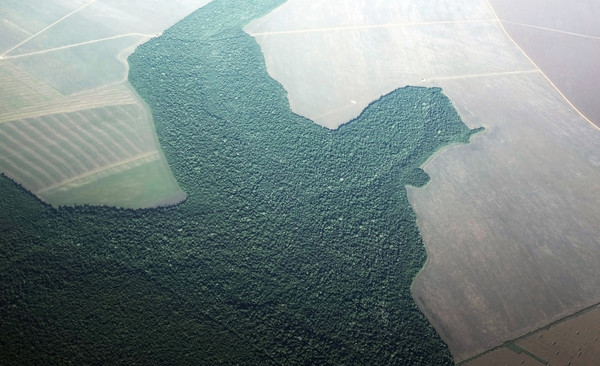 ▲▼ 2013年4月20日，巴西亞馬遜林被砍伐後，變成農田。（圖／路透）