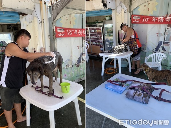 ▲陪伴犬協會舉辦免費訓犬與認養活動。（圖／台北市陪伴犬協會提供）