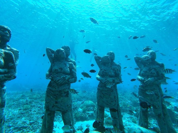 ▲印尼神秘海底雕像-The Nest。（圖／Blue Coral Diving Lombok提供）