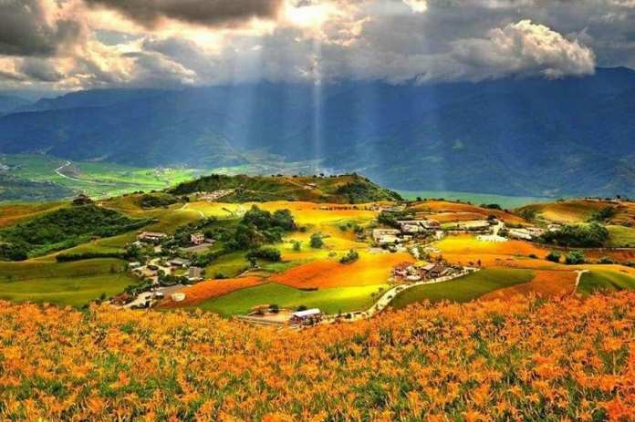 19四大金針花季開跑 金針花季交通 周邊景點懶人包 Ettoday旅遊雲 Ettoday新聞雲