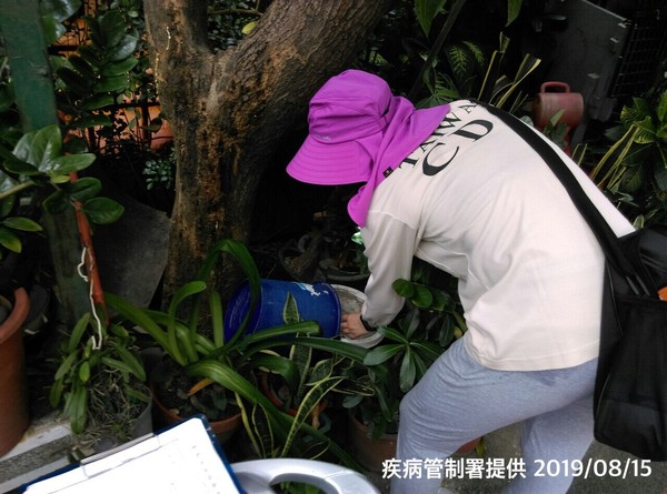 ▲▼疾管署防疫人員於台南市東區泉南里執行孳生源查核。（圖／疾管署提供）