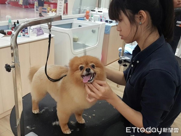 ▲花蓮店開幕 。（圖／東森寵物雲授權提供）