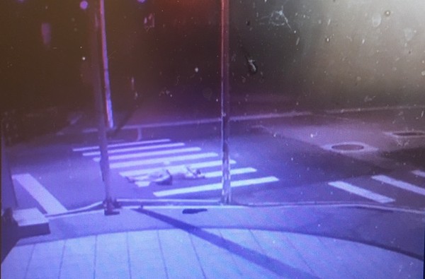 ▲桃園市龍潭區一名男子17日凌晨酒醉倒臥在公園路上，後來一路睡到大馬路上。（翻攝自爆料公社）  