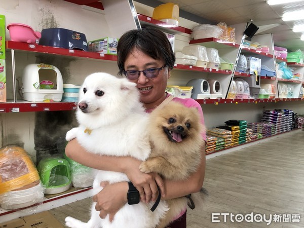 魔王鬆獅亂咬人　只有ㄊㄚ能夠治（圖／記者吳鎮良攝）