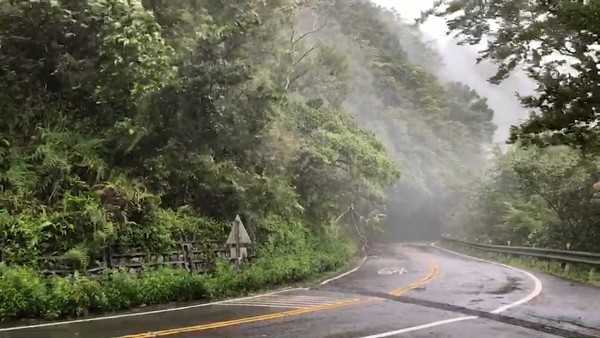 ▲白鹿強風大雨樹枝掉落，福山植物園緊急休園1天。（圖／福山植物園提供）